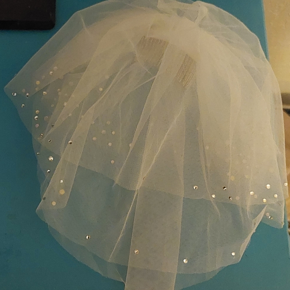 Wedding Veil